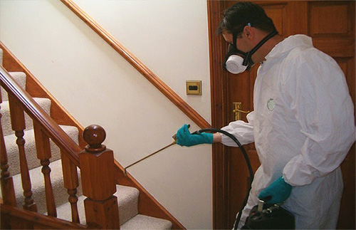 Pest control room for bedbugs