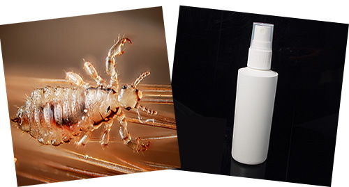 Many lice sprays are quite effective against parasites, and some of them do not contain insecticides at all.