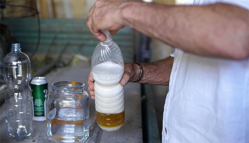 Een van de meest aantrekkelijke vallen voor wespen en horzels is degene die bier als aas gebruikt.