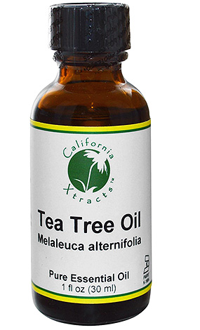 In itself, tea tree oil will be ineffective against lice, so it is best combined with other means