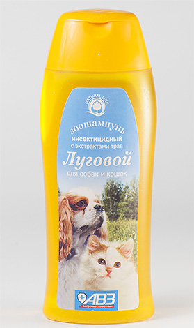 Flea shampoo is best applied with a small number of parasites on the body of the animal