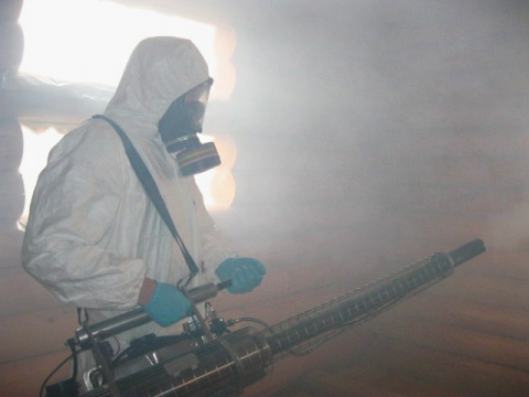 Tänk på funktionerna i proceduren för förstöring av bedbugs med hjälp av het dimma och hur effektiv denna metod för rumsbehandling är.