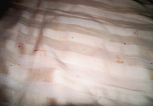 Red dots found in the morning in the bed can indicate the presence of bugs in the house.