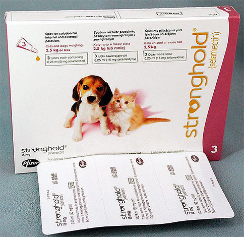 Drops Stronghold will help to save the pet not only from fleas, but also from ticks.