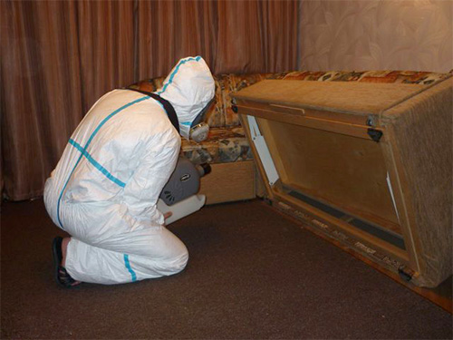 In the photo, a pest control specialist will process the house from insects using a cold mist generator.