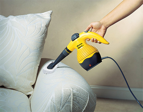 When processing furniture from bedbugs, try not to direct steam to varnished and plastic surfaces.