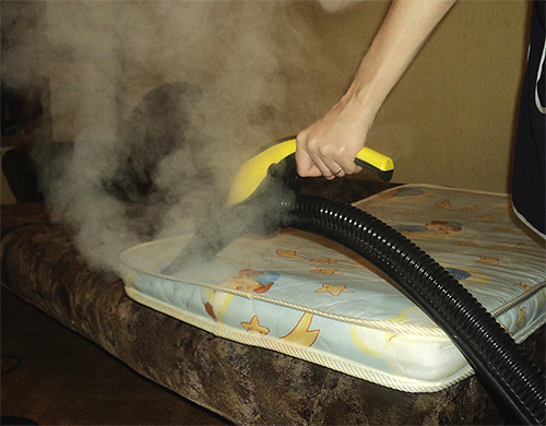 When the steam temperature is about 100 degrees, the bugs will die even in deep folds and damage to the mattress.