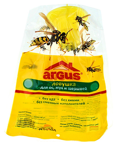 Trap for wasps, flies and hornet Argus