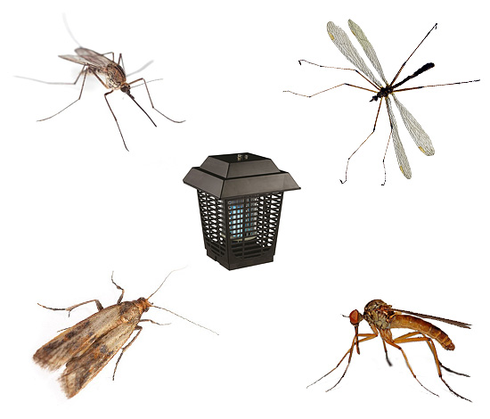 Vi väljer den optimala modellen av insektsdödare, både gata och inuti huset ...