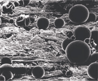 Rovarölő mikrokapszulák a kezelt felületen