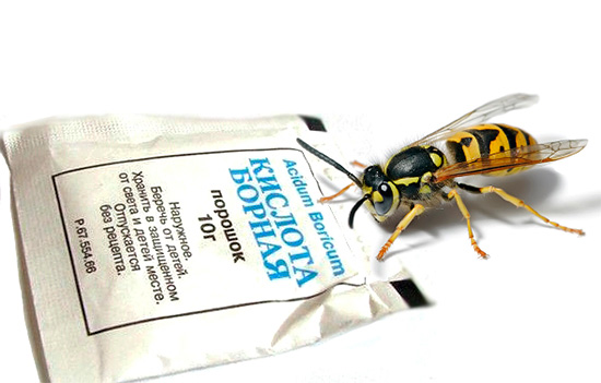 Boric acid is effective not only against cockroaches, but also against wasps.