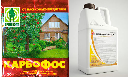 Karbofos is sold in both powdered and liquid form.