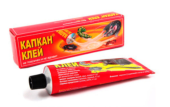 Glue for the preparation of glue traps from rodents and insects trap