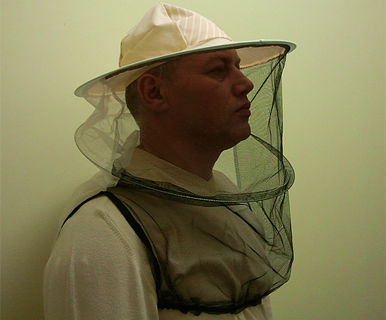 To prevent bites, use a special beekeeper mask.