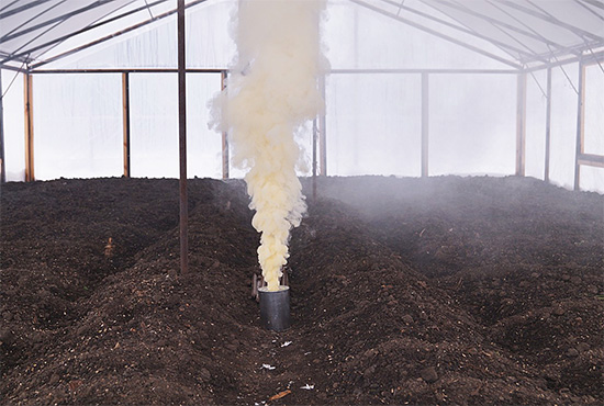 Példa a speciális füstbombák használatára rovarok elpusztítására a szobában (üvegház).