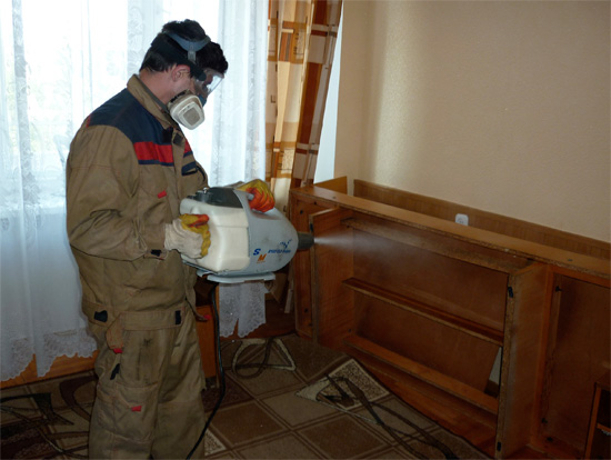 Disinsektorn vet helt bra vilka platser i lägenheten som måste behandlas först för att säkert kunna förstöra buggarna.