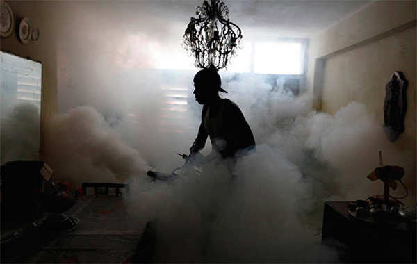 When processing the premises with hot mist, a very fine insecticidal aerosol is also created.