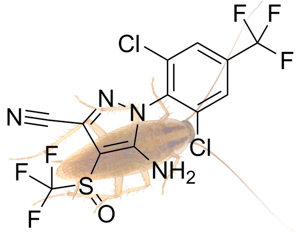 In modern populations of insects in cities, resistance to the action of many insecticides is often observed.