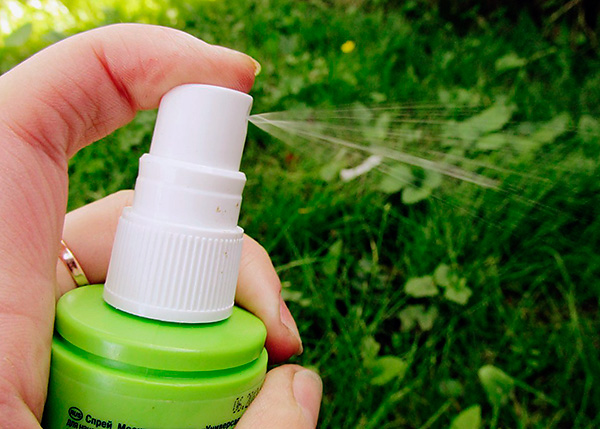 Also among the popular remedies for insect bites are repellent sprays and aerosols.