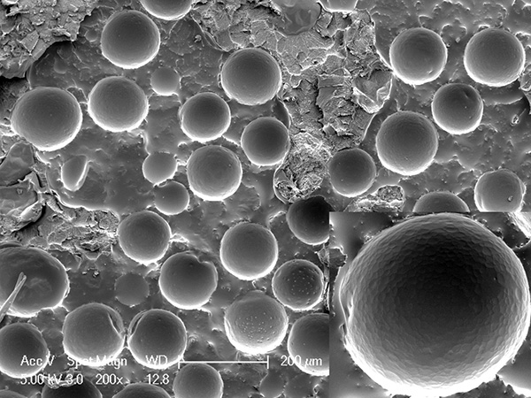In micro-ingekapselde bereidingen heeft het insecticide de vorm van de kleinste deeltjes (capsules).