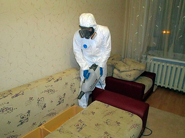 If it is impossible to cope with bloodsuckers on its own, it is always possible to call a special pest control service for bed bugs.