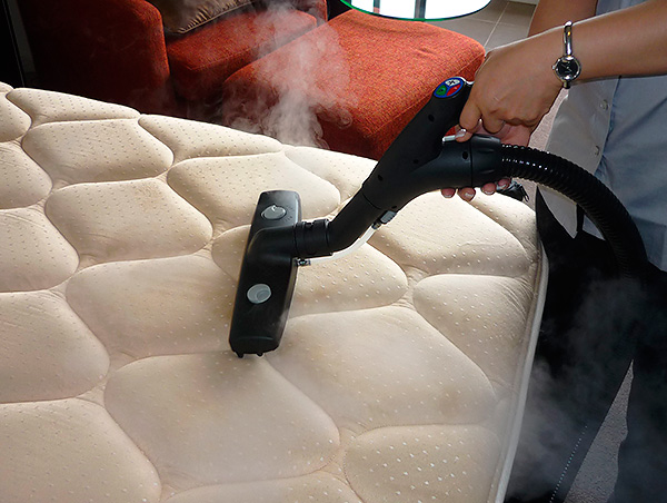 Processing the mattress with a steam cleaner allows you to effectively destroy bedbugs and their eggs.