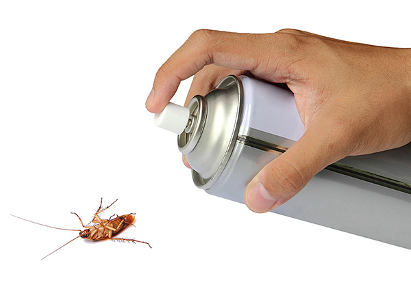 العديد من العوامل من الصراصير والحشرات الزاحفة والطيران الأخرى تحتوي على البيرثرويدات كمكونات نشطة.