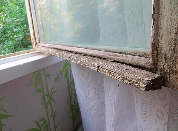Štěnice domácí může vstupovat do bytu přes vnější stěnu budovy přes mezery ve starých oknech.