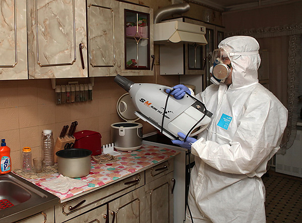 The photo shows an example of processing the kitchen from cockroaches using a cold mist generator.