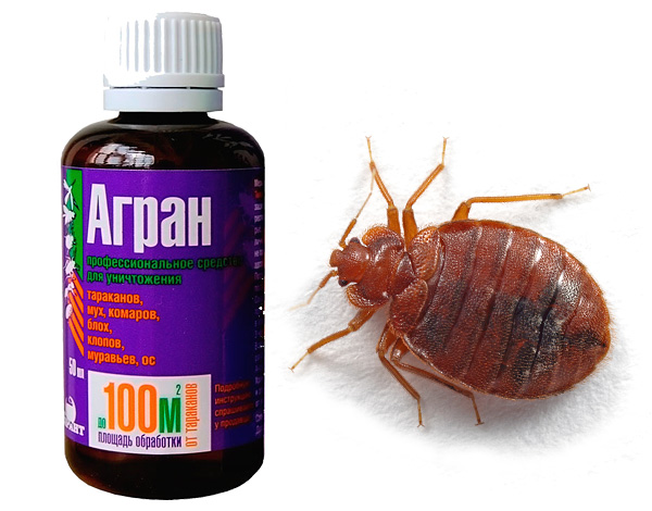 Is the insecticidal agent Agran really able to effectively destroy bedbugs? ..