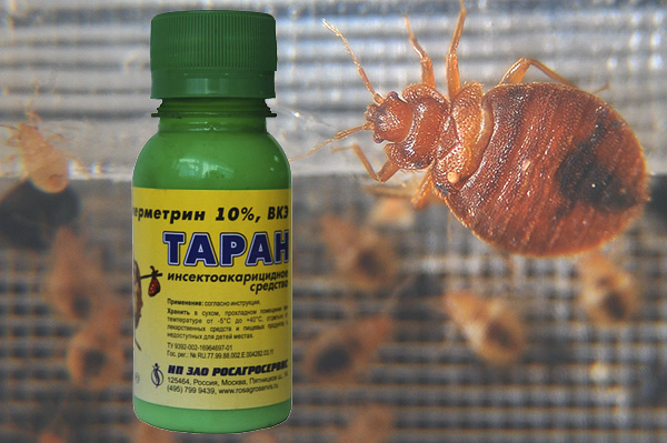 Does the means Taran help get rid of bedbugs in the house? Let's understand ...