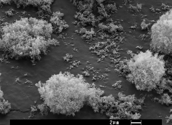 The appearance of particles of synthetic silicon dioxide under the microscope