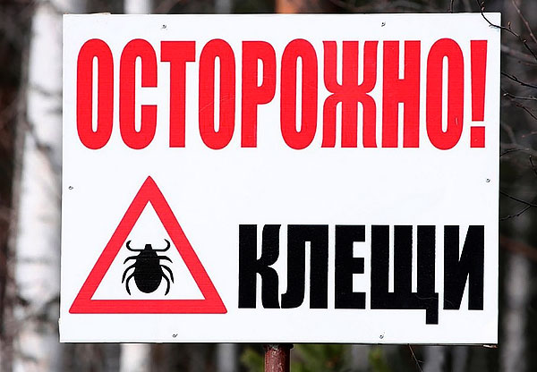 In areas where such signs are installed, it is desirable to be in nature only in special costumes, reliably protecting against parasites.