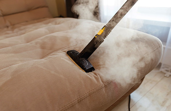 Hot steam from a steam cleaner is able to warm up the fabric to a considerable depth, effectively destroying ticks and their eggs.