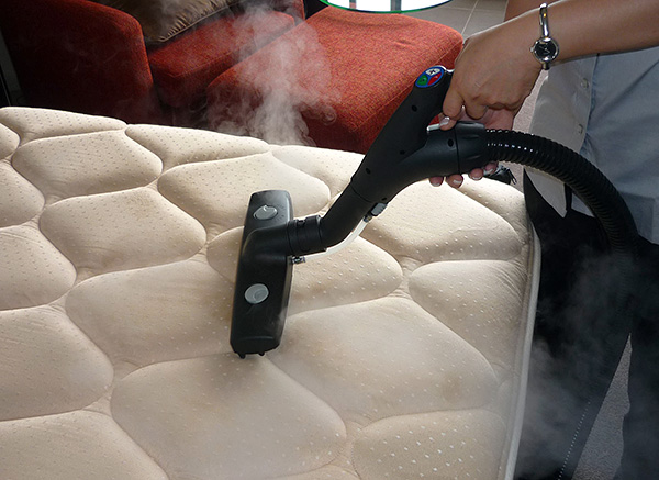 Processing the mattress with a steamer allows you to destroy most of the ticks and their eggs.