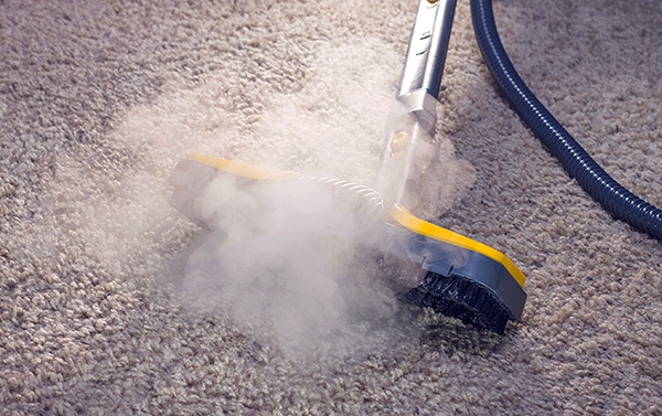 Carpet cleaning with steam cleaner.