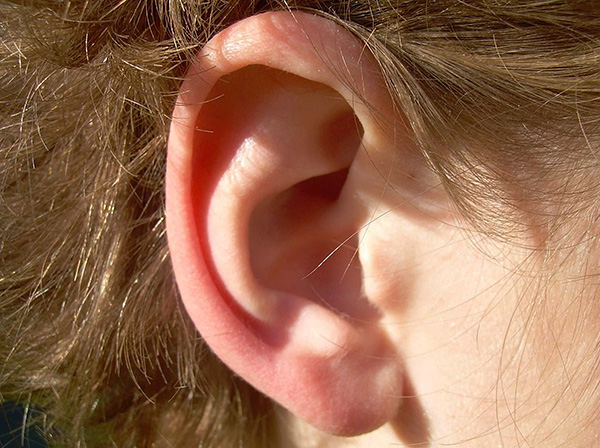 For humans, ear mites in most cases are not dangerous.